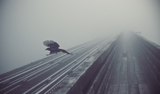 Lorem ipsum dolor sit amet